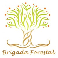 Brigada Forestal logo, Brigada Forestal contact details