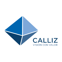 Calliz Consulting logo, Calliz Consulting contact details