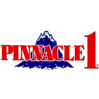 Pinnacle 1 Tax Service logo, Pinnacle 1 Tax Service contact details