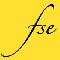 FSE Consulting logo, FSE Consulting contact details