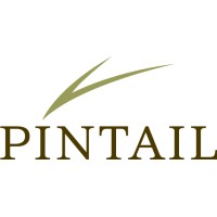 Pintail Capital Partners logo, Pintail Capital Partners contact details