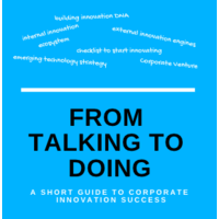 From Talking to Doing: A Short Guide to Corporate Innovation Success logo, From Talking to Doing: A Short Guide to Corporate Innovation Success contact details