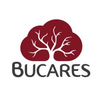 BUCARES logo, BUCARES contact details