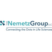 The NemetzGroup LLC logo, The NemetzGroup LLC contact details