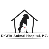 Dewitt Animal Hospital logo, Dewitt Animal Hospital contact details