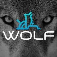 Grupo Wolf logo, Grupo Wolf contact details