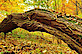 Pitkin County Open Space And Trails logo, Pitkin County Open Space And Trails contact details