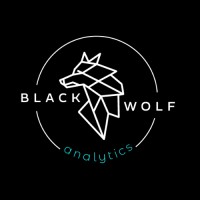 Black Wolf Analytics logo, Black Wolf Analytics contact details