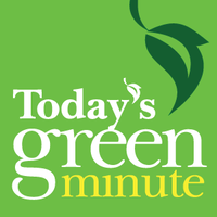 Today's Green Minute logo, Today's Green Minute contact details