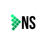 DNS Consulting logo, DNS Consulting contact details