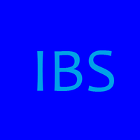 IBS International Business Solutions logo, IBS International Business Solutions contact details