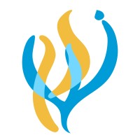 Congregation Kehilat Shalom logo, Congregation Kehilat Shalom contact details