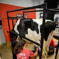 NC State - College of Agriculture and Life Sciences logo, NC State - College of Agriculture and Life Sciences contact details