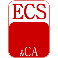 ECS Consultoria e Serviços logo, ECS Consultoria e Serviços contact details