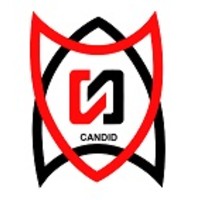 Candid Auto Parts logo, Candid Auto Parts contact details