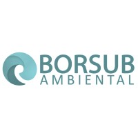 Borsub Ambiental Chile logo, Borsub Ambiental Chile contact details