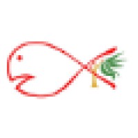 Absolutely Fish Inc logo, Absolutely Fish Inc contact details