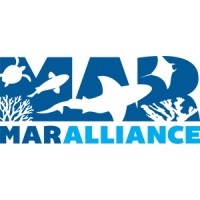 MarAlliance logo, MarAlliance contact details