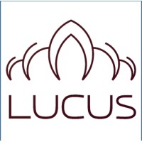 Lucus Advisors LLC logo, Lucus Advisors LLC contact details