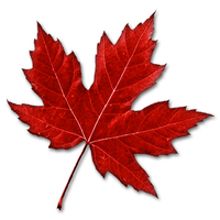 MapleCareer logo, MapleCareer contact details