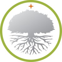 Silver Tree Consulting & Services logo, Silver Tree Consulting & Services contact details