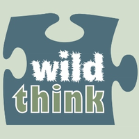 WildThink logo, WildThink contact details