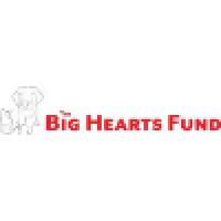 The Big Hearts Fund logo, The Big Hearts Fund contact details