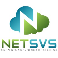 Net Synergy Virtual Solutions logo, Net Synergy Virtual Solutions contact details