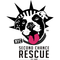 Second Chance Rescue NYC logo, Second Chance Rescue NYC contact details