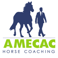 Asociación Mexicana de Coaching Asistido con Caballos SC logo, Asociación Mexicana de Coaching Asistido con Caballos SC contact details