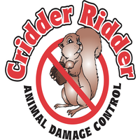 Cridder Ridder logo, Cridder Ridder contact details