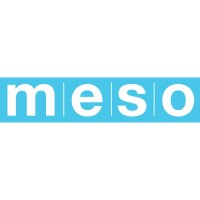 MESO Marketing logo, MESO Marketing contact details