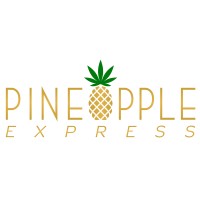 Pineapple Ventures, Inc. logo, Pineapple Ventures, Inc. contact details