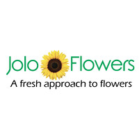 Jolo Flowers logo, Jolo Flowers contact details