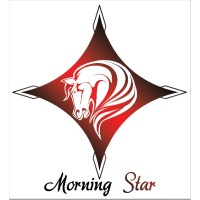 Morning Star Enterprises logo, Morning Star Enterprises contact details