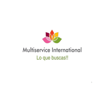 Multiservice International logo, Multiservice International contact details