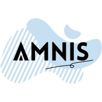 Amnis Chile | Consultores en Innovación logo, Amnis Chile | Consultores en Innovación contact details