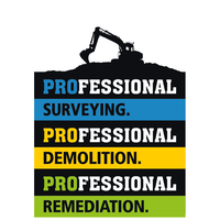 PROFESSIONAL REMEDIATION LIMITED logo, PROFESSIONAL REMEDIATION LIMITED contact details