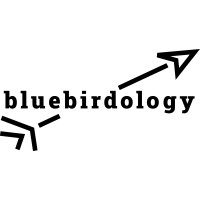 Bluebirdology Inc logo, Bluebirdology Inc contact details