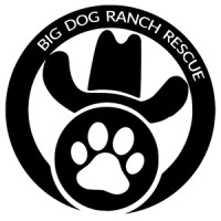 Big Dog Ranch Rescue logo, Big Dog Ranch Rescue contact details