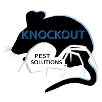 KNOCKOUT Pest Solutions LLC logo, KNOCKOUT Pest Solutions LLC contact details