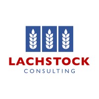 Lachstock Consulting logo, Lachstock Consulting contact details