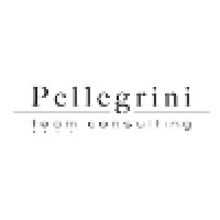 Pellegrini Team Consulting logo, Pellegrini Team Consulting contact details