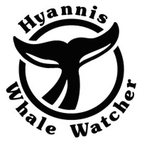 WHALES logo, WHALES contact details