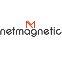 Netmagnetic Software Info Solution P Ltd logo, Netmagnetic Software Info Solution P Ltd contact details