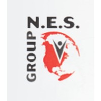 Nations Executive Search Group Inc. logo, Nations Executive Search Group Inc. contact details