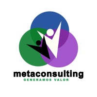 Meta Consulting Services logo, Meta Consulting Services contact details