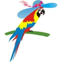 Macaws Infotech logo, Macaws Infotech contact details