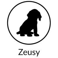 Zeusy Unlimited LLC logo, Zeusy Unlimited LLC contact details