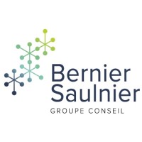 Groupe conseil Bernier Saulnier logo, Groupe conseil Bernier Saulnier contact details